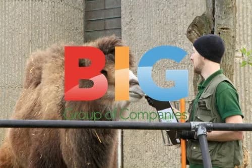 London Zoo Annual Animal Stocktake