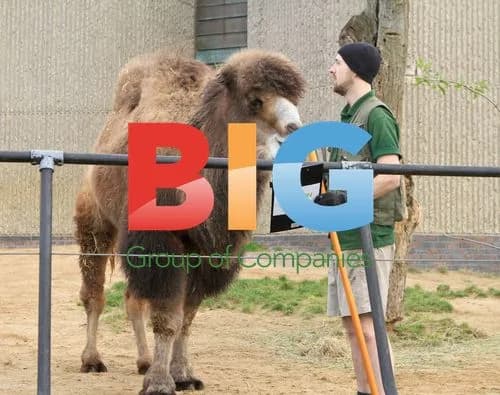 Zoo Animal Stocktake in London