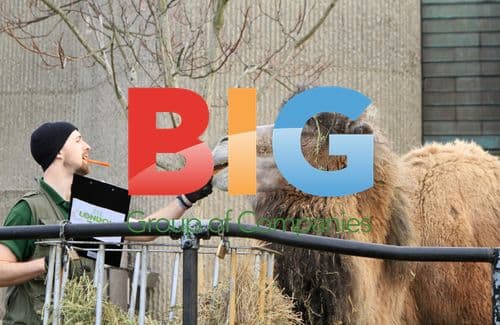 London Zoo Annual Stocktake