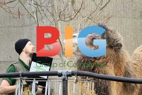 London Zoo Animal Stocktake