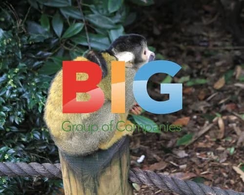 London Zoo Animal Stocktake