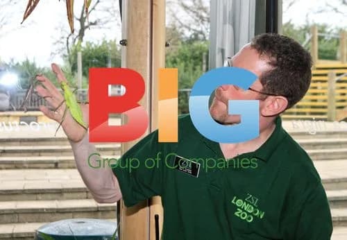 London Zoo Animal Stocktake