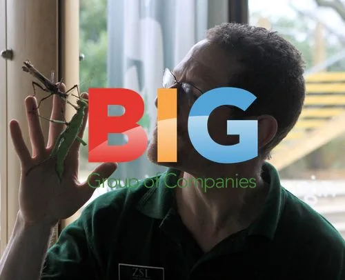 London Zoo Annual Stocktake