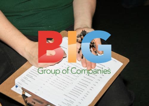 London Zoo Animal Stocktake