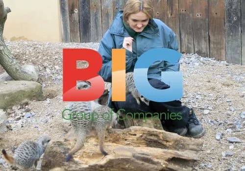 Annual London Zoo Animal Stocktake