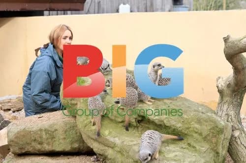 London Zoo Stocktake