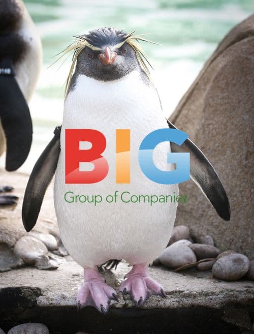 London Zoo Annual Stocktake