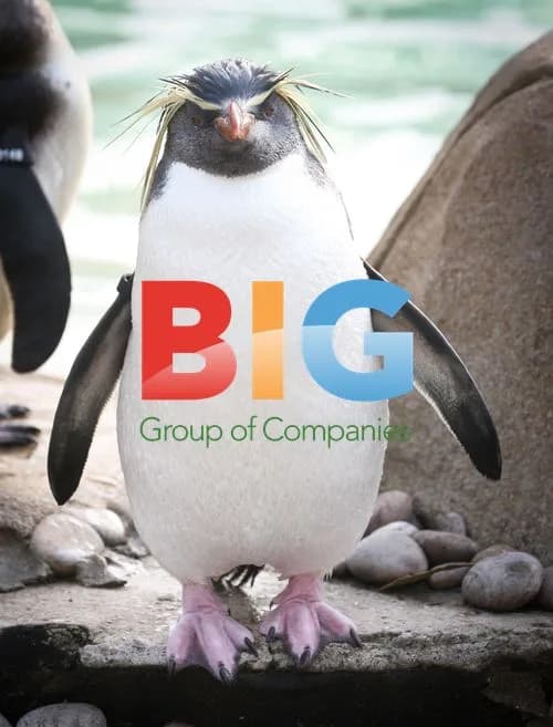 London Zoo Annual Stocktake