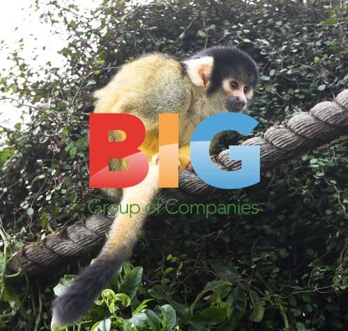 Annual London Zoo Stocktake