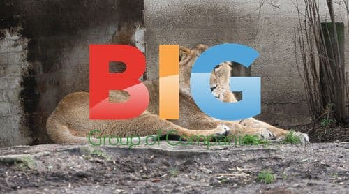 London Zoo Stocktake 2012