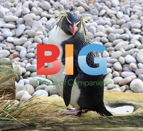 London Zoo Annual Stocktake