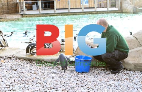 London Zoo Annual Stocktake