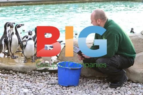 Zookeepers Count Animals at London Zoo Stocktake