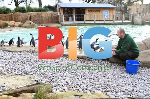 London Zoo Annual Animal Stocktake