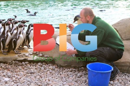 London Zoo Stocktake