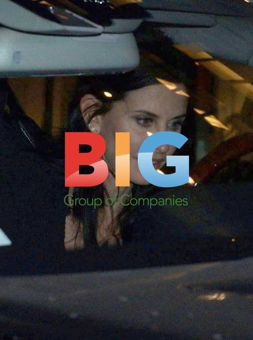 Courtney Cox Celebrates David Arquette's Sobriety