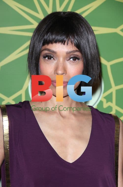 Tamara Taylor at FOX TCA Party