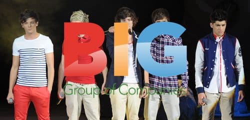 One Direction Concert at HMV Apollo