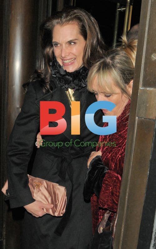 Brooke Shields and Twiggy Out in London