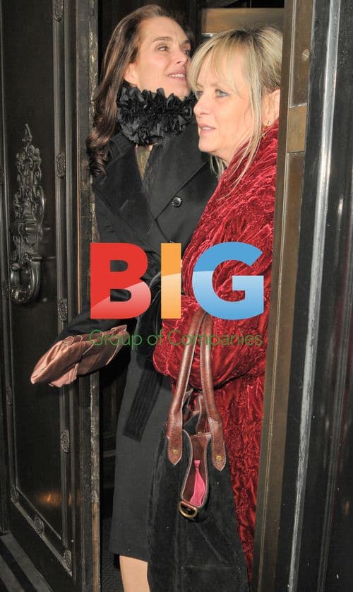 Brooke Shields and Twiggy Out in London