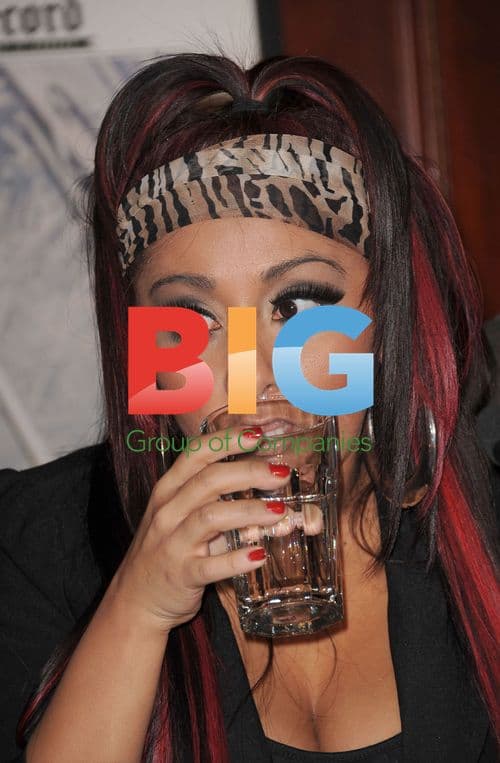 Snooki at Team Snooki Boxing Press Conference