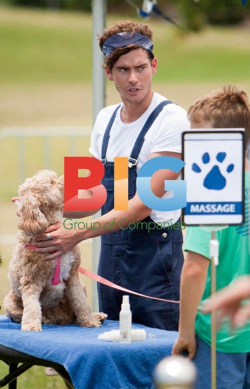 Celebrity Apprentice Australia Dog Wash