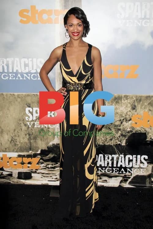 Spartacus: Vengeance Premiere