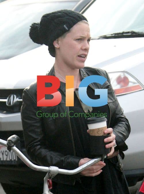 Pink with husband Carey Hart and daughter Willow