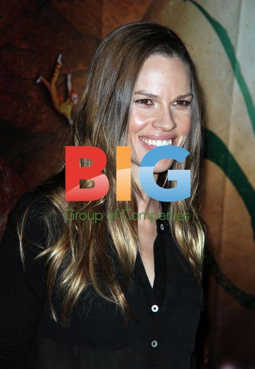 Hilary Swank at Cirque Du Soleil Opening