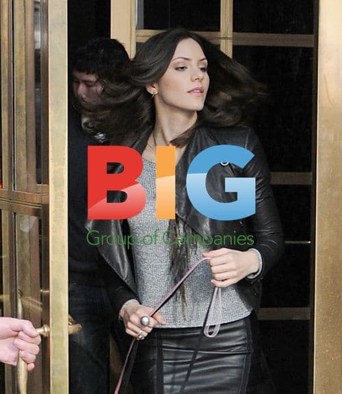 Katharine McPhee walks dogs on 'Smash' set