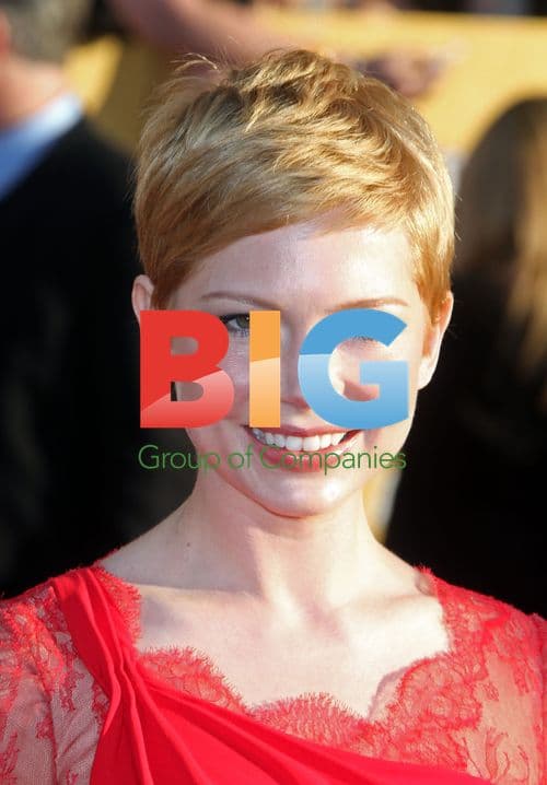 Michelle Williams at 2012 SAG Awards