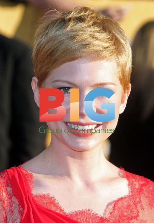 Michelle Williams at SAG Awards 2012