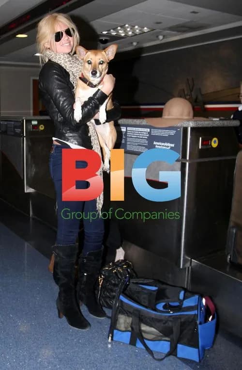 Kate Upton Arrives at LAX with Dog