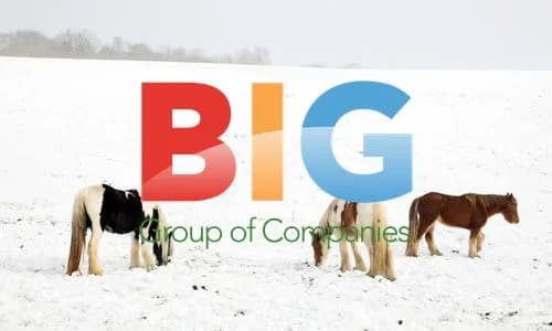 Horses in Snow-Covered Field