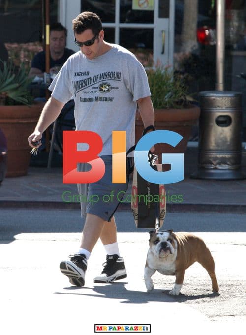 Adam Sandler Walks Dog in Malibu