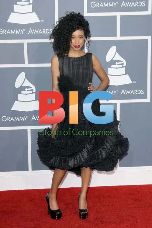 Corinne Bailey Rae at 54th Grammy Awards