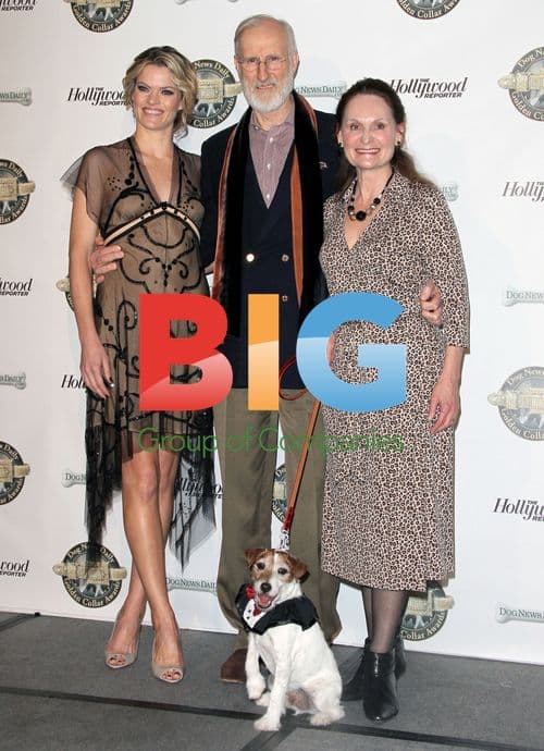 The First Annual Golden Collar Awards