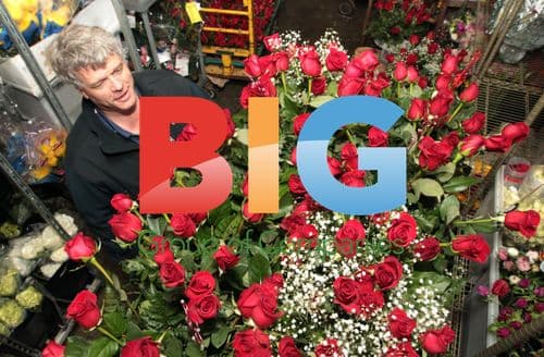 Preparations for Valentine's Day in St. Louis