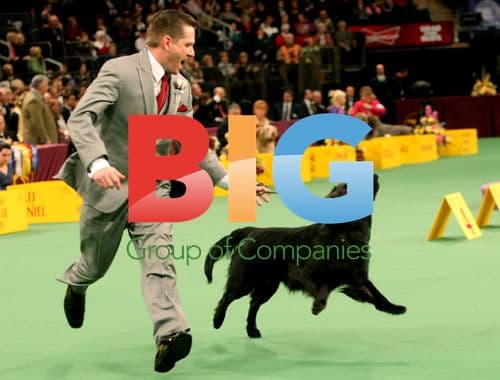Westminster Dog Show 2012