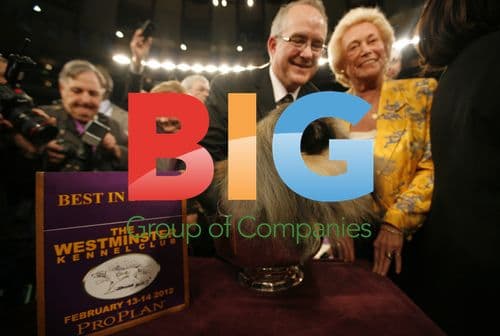 Pekingese Wins Best in Show at Westminster