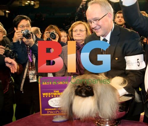 Westminster Dog Show Best in Show