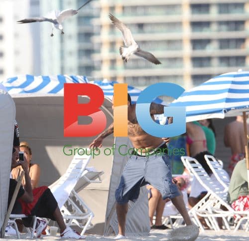 Chris Brown attacked by seagull in Miami