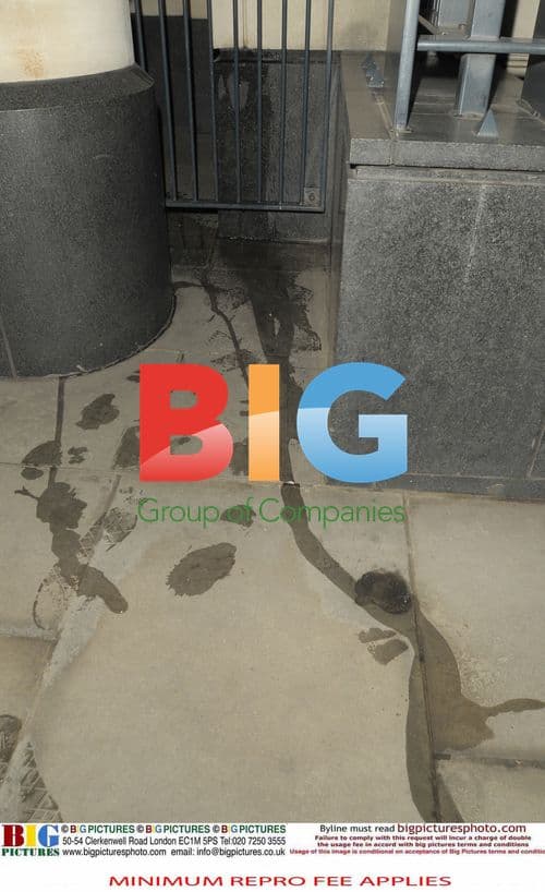 Ed Sheeran caught short at BRIT Awards party