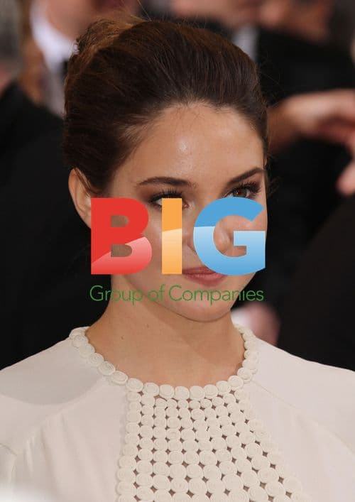 Shailene Woodley at 84th Academy Awards