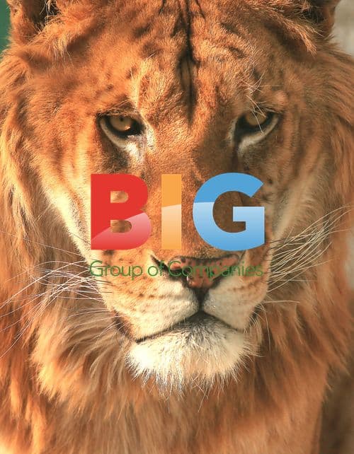 Siberian Tiger Park in Harbin, China