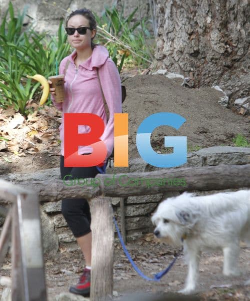 Olivia Wilde walking her dog in Hollywood Hills
