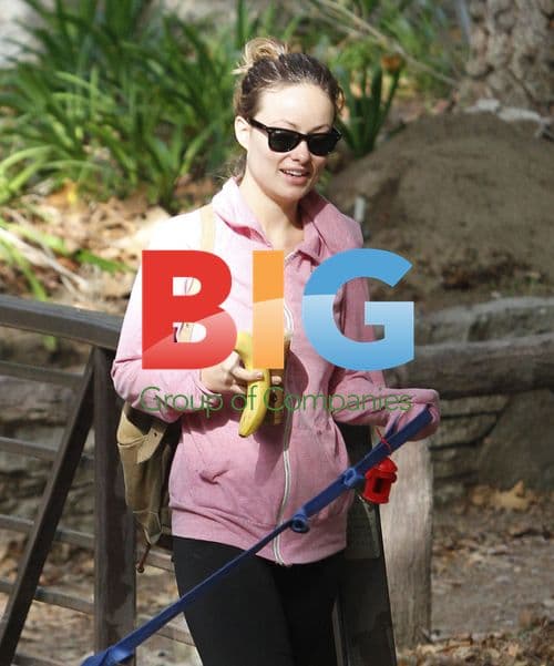 Olivia Wilde Walks Dog in Hollywood Hills