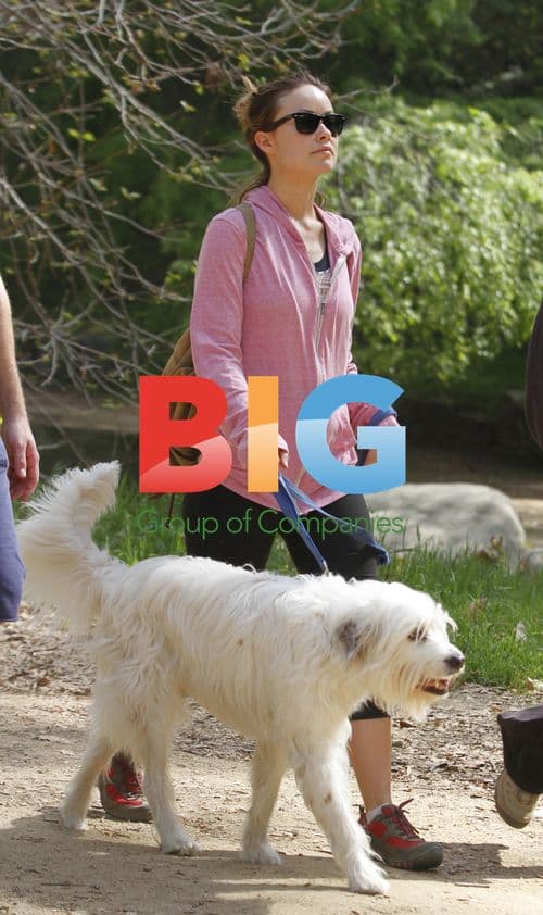 Olivia Wilde Walks Dog in Hollywood Hills