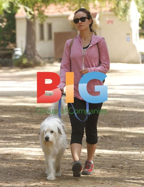 Olivia Wilde walks dog in Hollywood Hills