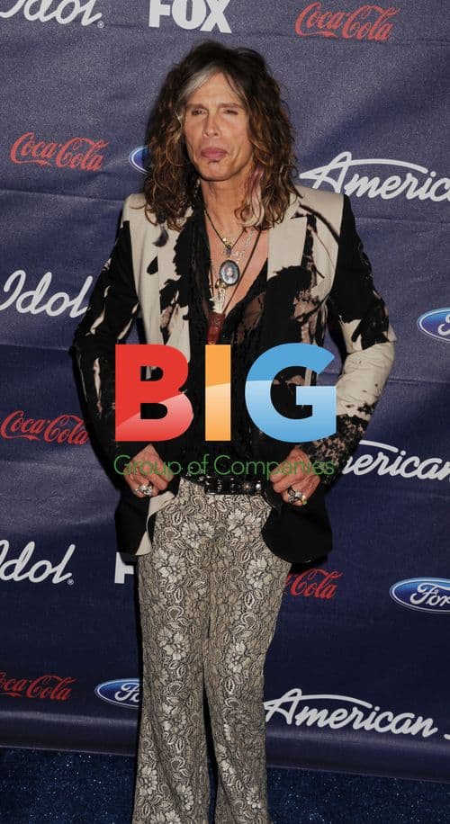 Steven Tyler at American Idol Finalists Party